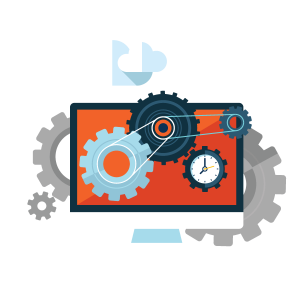 Wordpress website management